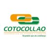 cotocollao
